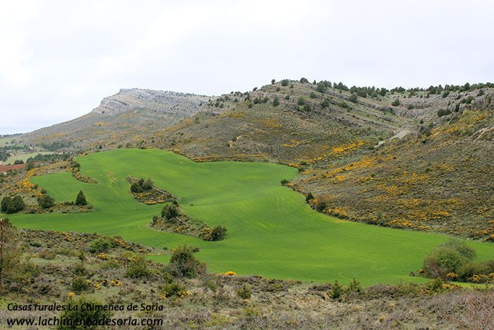 Maravillas entre pinares y la ribera