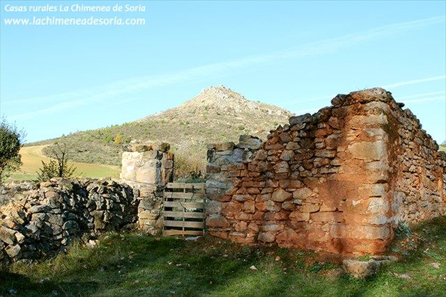 Maravillas entre pinares y la ribera