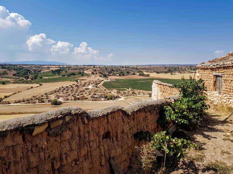 Conjunto de bodegas "El Plantío"