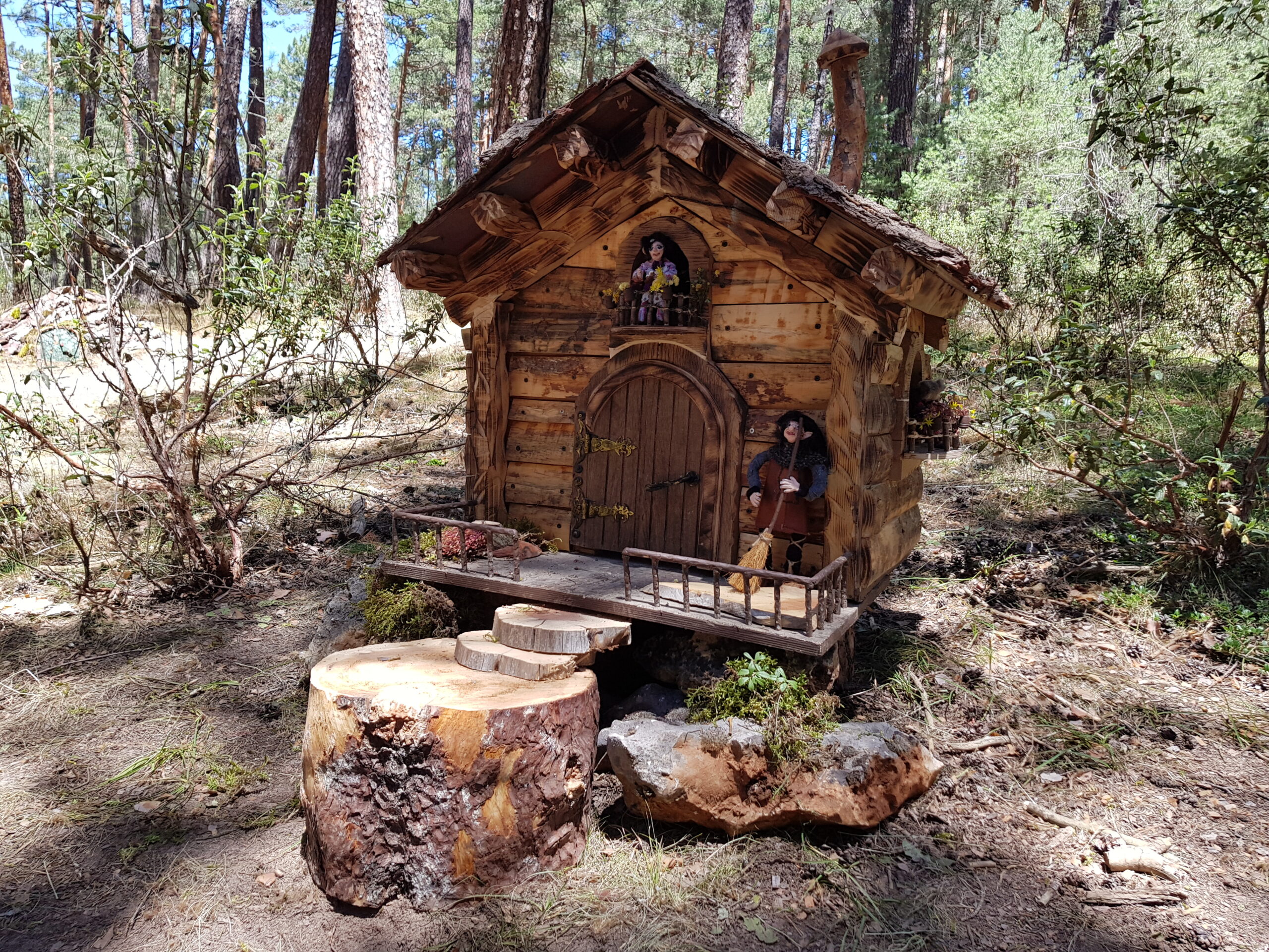 El bosque mágico de Fuente del Pino donde habitan hadas, gnomos y