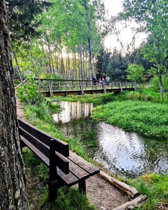 Uno de los paseos primaverales por excelencia de la provincia de Soria y 100 por 100 accesible es el monumento natural de la Fuentona junto a las aguas del río Abión.

#fuentona #monumentonatural #soria #soriaestademoda #turismo #castillayleon  #naturaleza