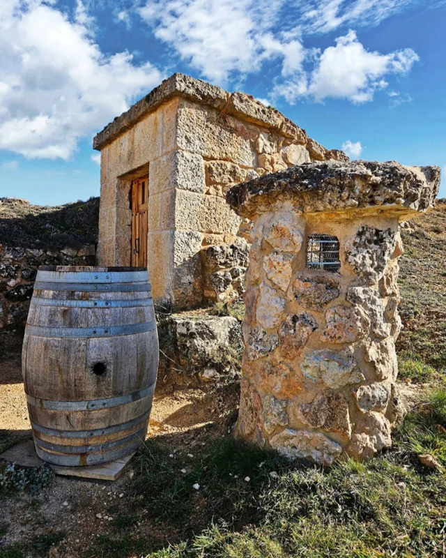 ¿Sabías que Soria también tiene zona con Denominación de Origen Ribera del Duero y uno de sus mayores barrios de bodegas tradicionales en la localidad de Atauta?
📸 @estufon

#riberadelduero #bodegas  #soria #soriaestademoda #turismo #españa #castillayleon #patrimonio  @riberadelduero @rutavinoribera