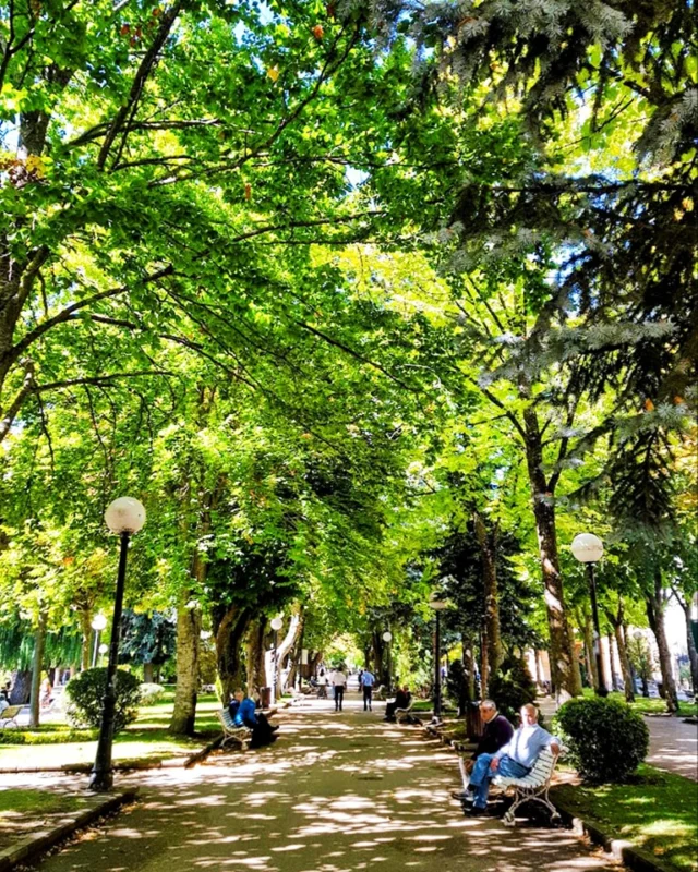 La Alameda de Cervantes, conocida también como la Dehesa, es el lugar ideal para disfrutar de esta temporada en el centro de Soria 🌿

#dehesa #alamedadecervantes #soria #soriaestademoda #turismo #españa #castillayleon #patrimonio #naturaleza